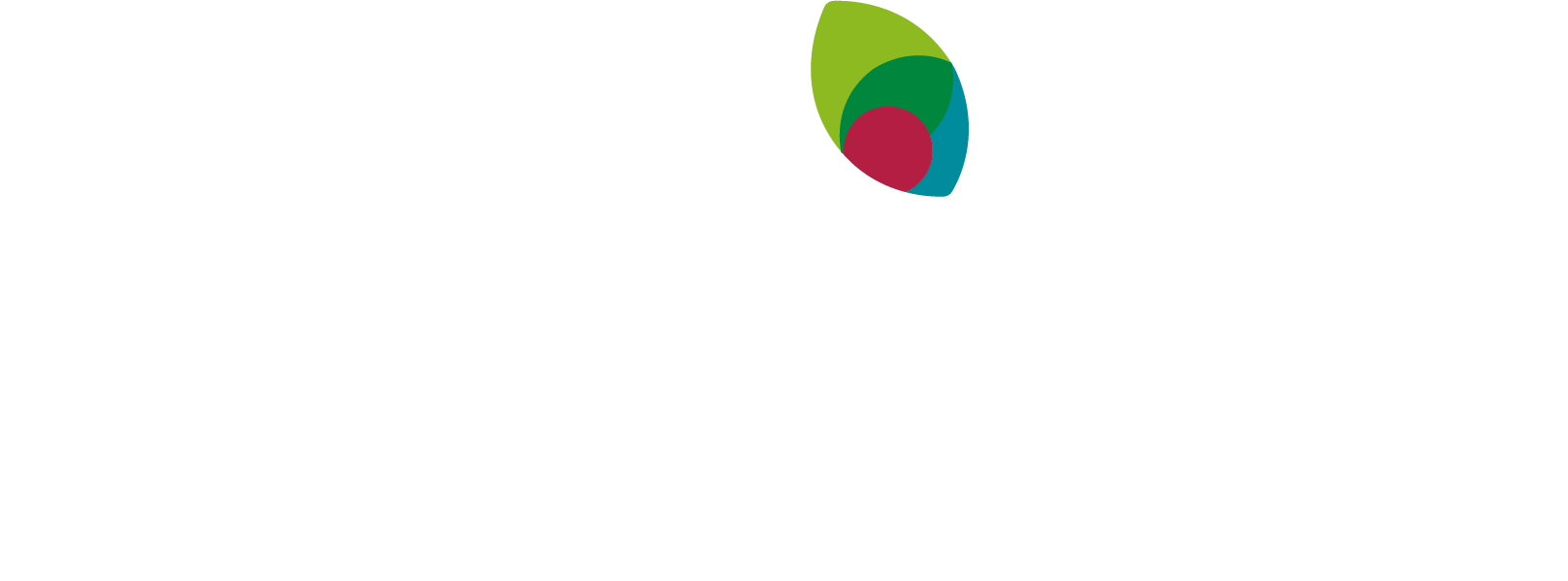 Chimex Food Logo